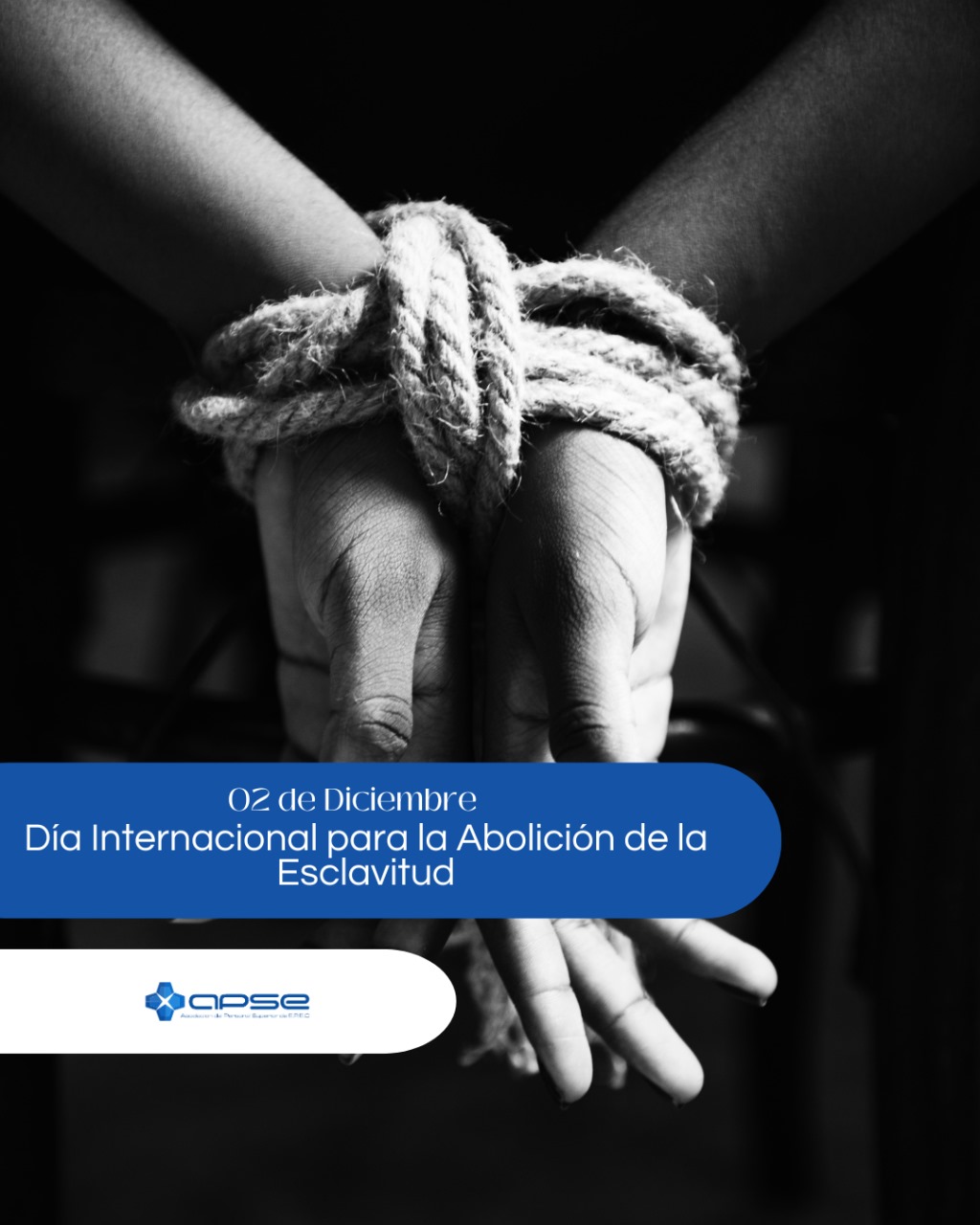 Institucional
