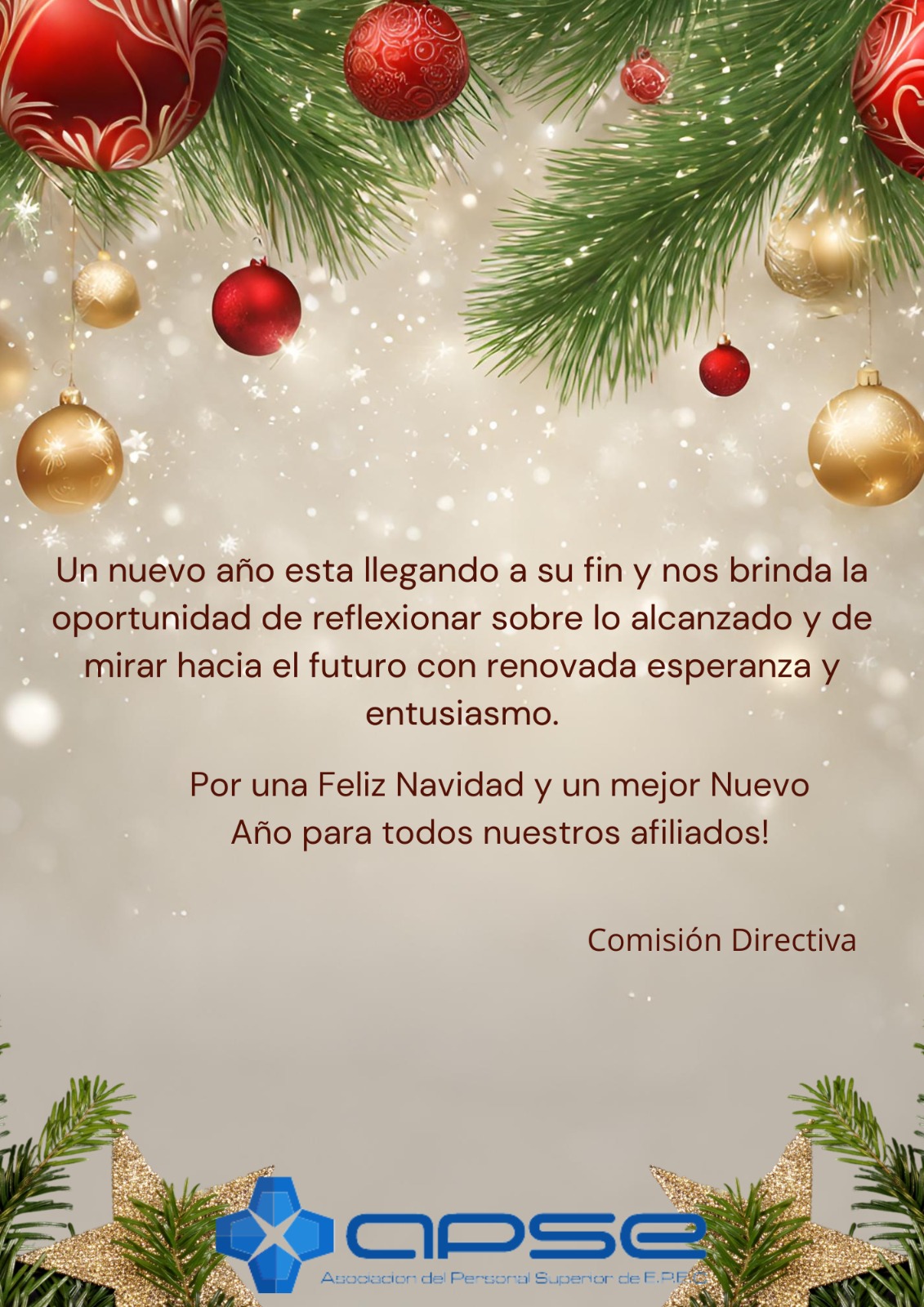 Institucional